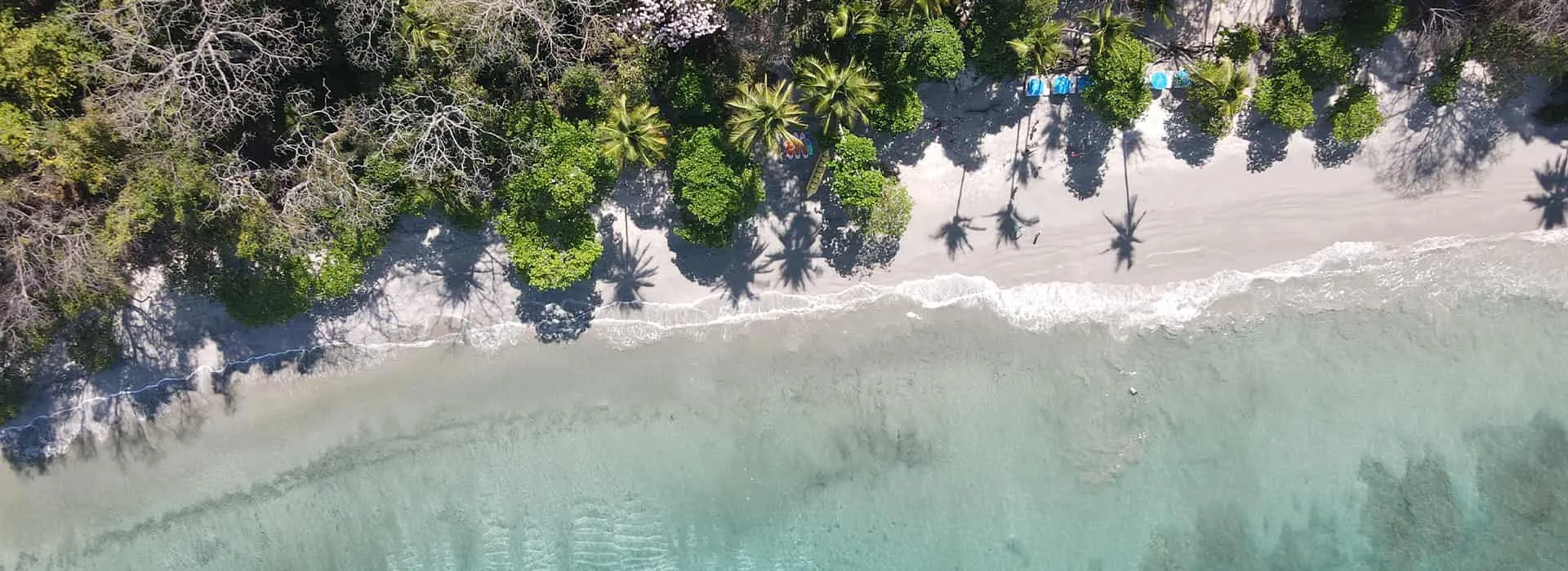 Sealounge crew creating unforgettable experiences in Jaco, Costa Rica