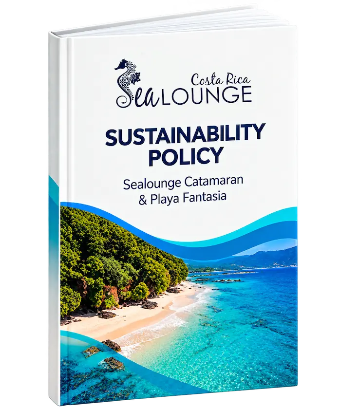 Sealounge Catamaran