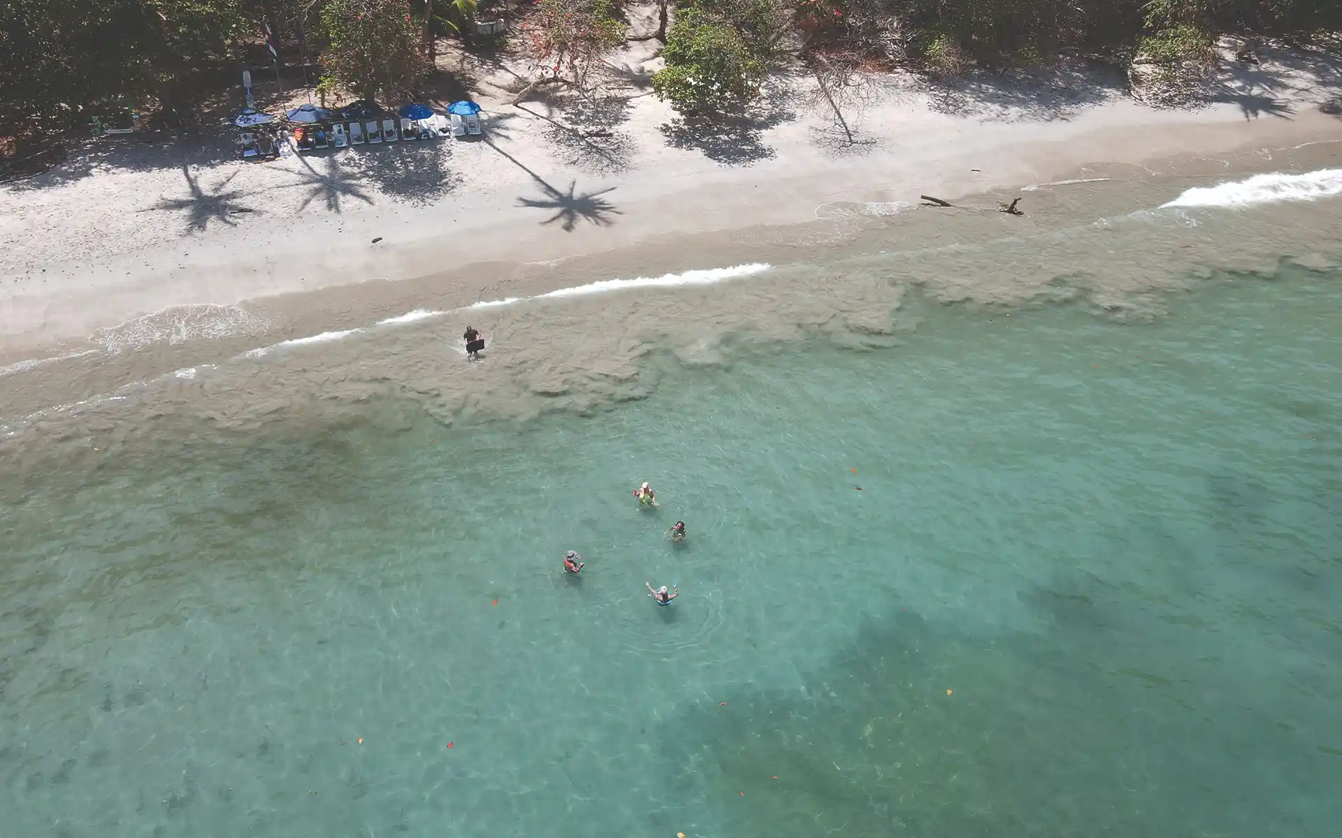 Sealounge crew creating unforgettable experiences in Jaco, Costa Rica